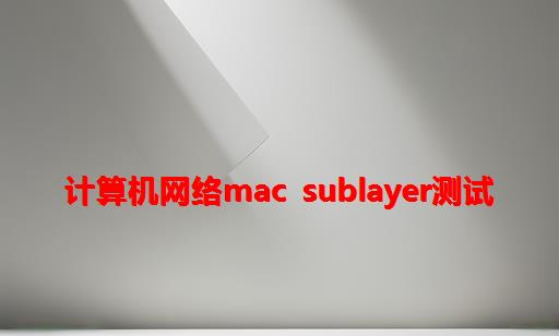 计算机网络MAC SubLayer测试